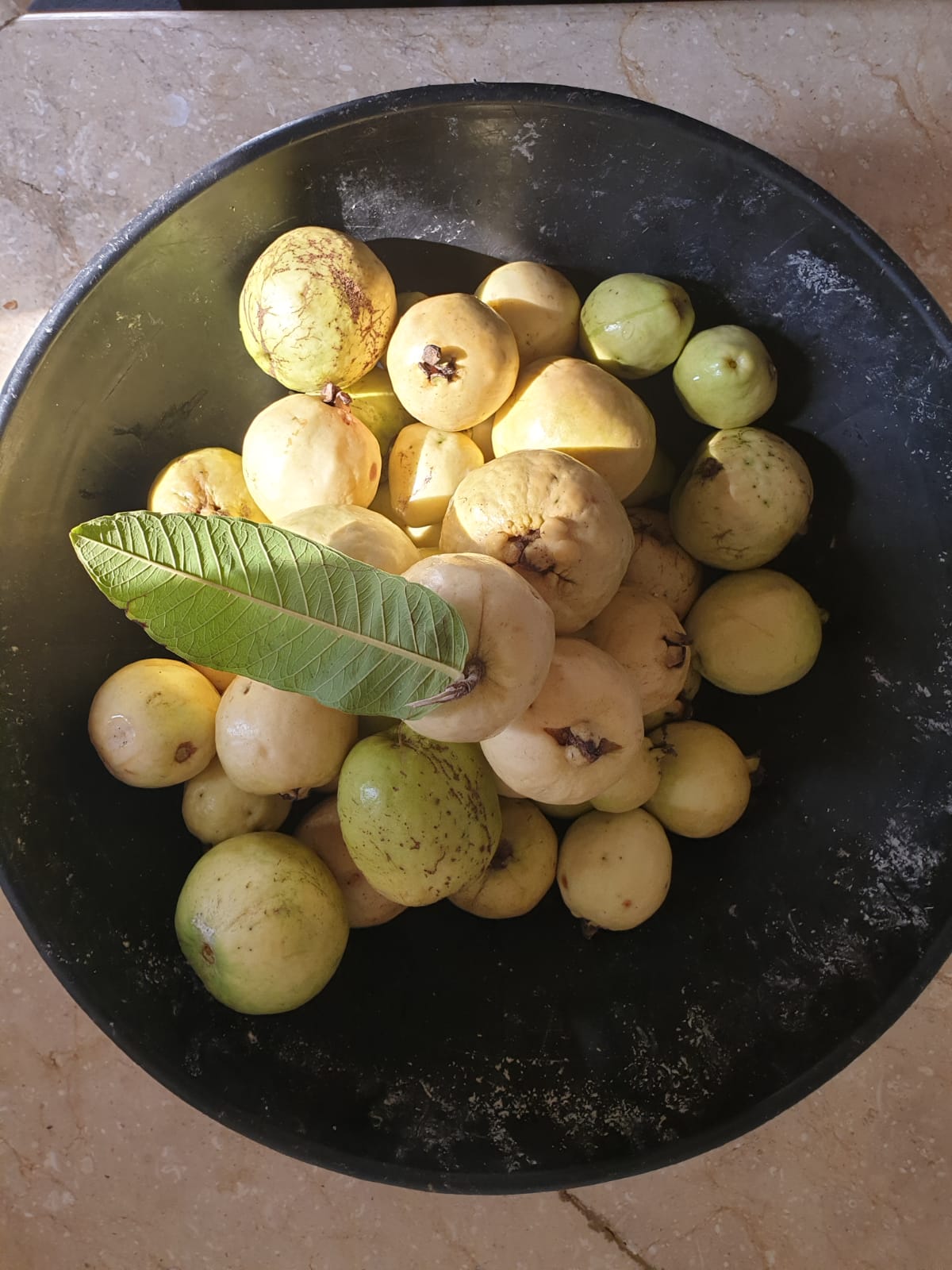 Guava Preserve 200 ml