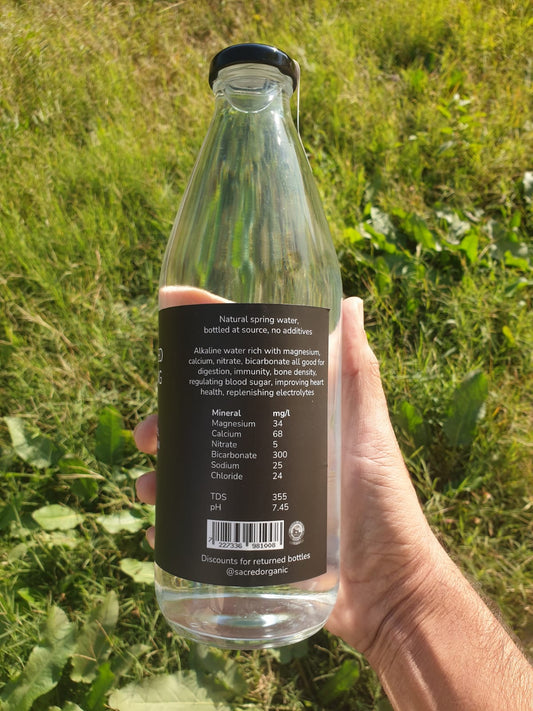 Natural Mountain Water 1,000 ml