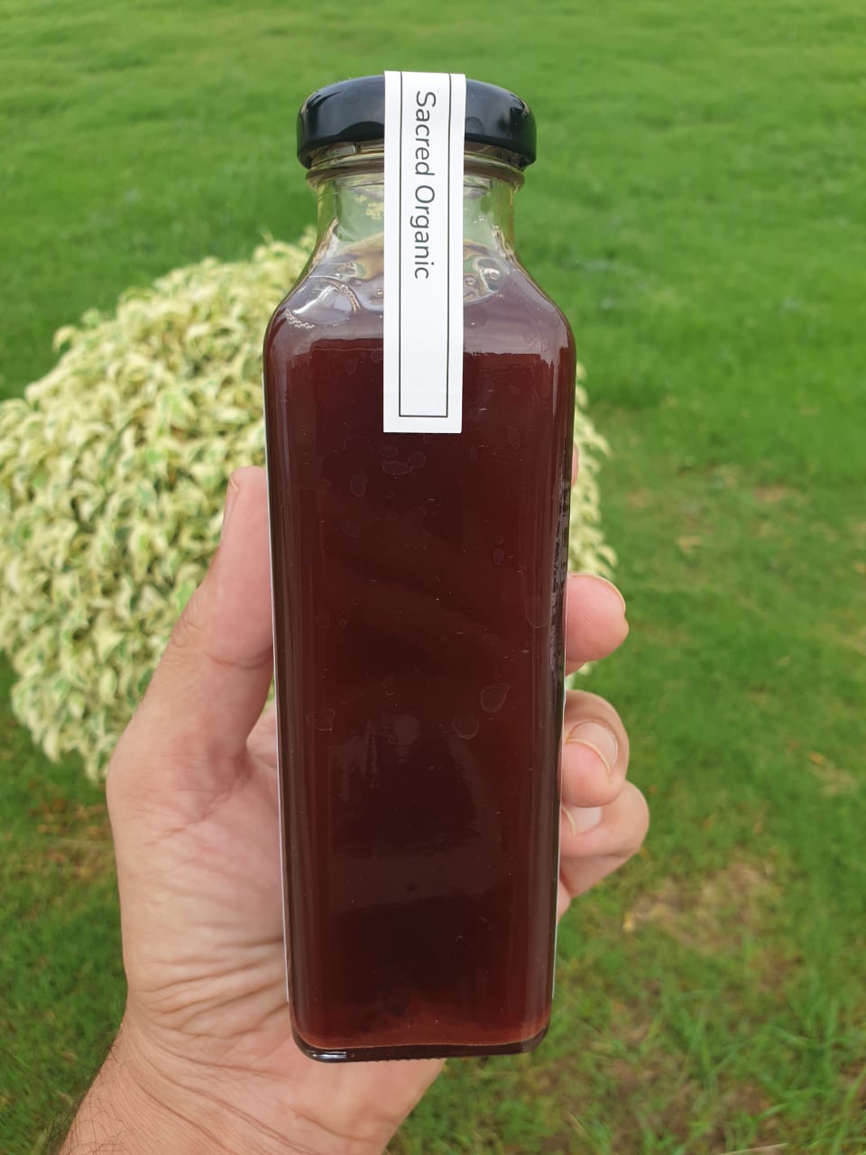 Strawberry Cordial 300 ml